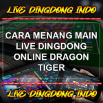 Cara Menang Main Live Dingdong Online Dragon Tiger