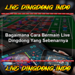 Bagaimana Cara Bermain Live Dingdong Yang Sebenarnya