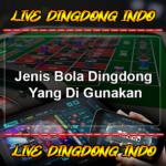 Jenis Bola Dingdong Yang Di Gunakan