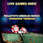 Pulautoto Memiliki Bonus Dingdong Terbesar